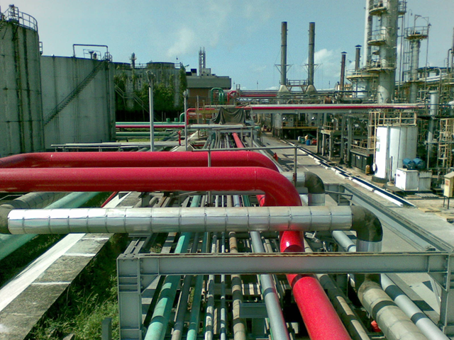 REMAN (2008)